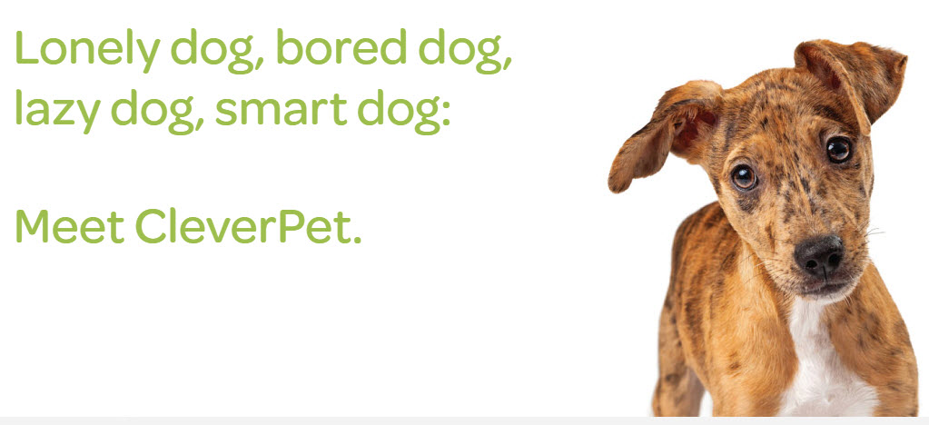 cleverpet change pet weight cleverpet change pet weight