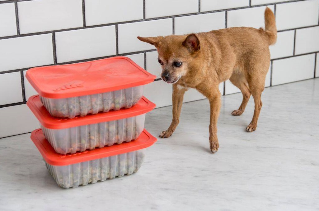 ollie food human grade custom food startup ollie raises 4 4m ollie food human grade custom food startup ollie raises 4 4m
